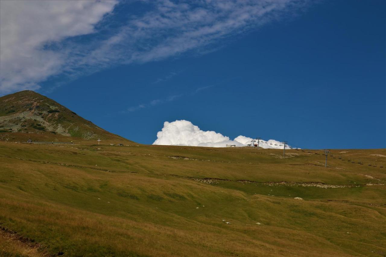 Cabana Transalpina Hotel Rânca Eksteriør billede