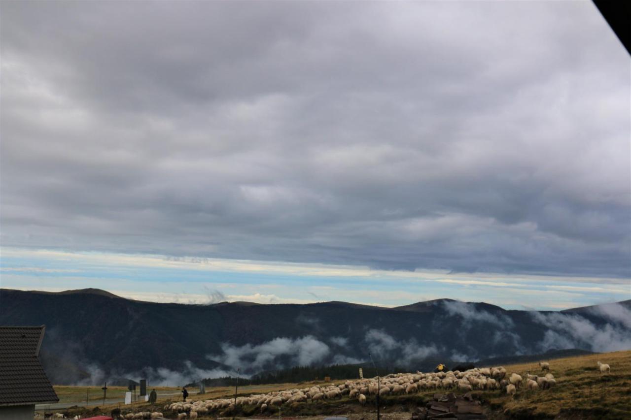 Cabana Transalpina Rânca Eksteriør billede
