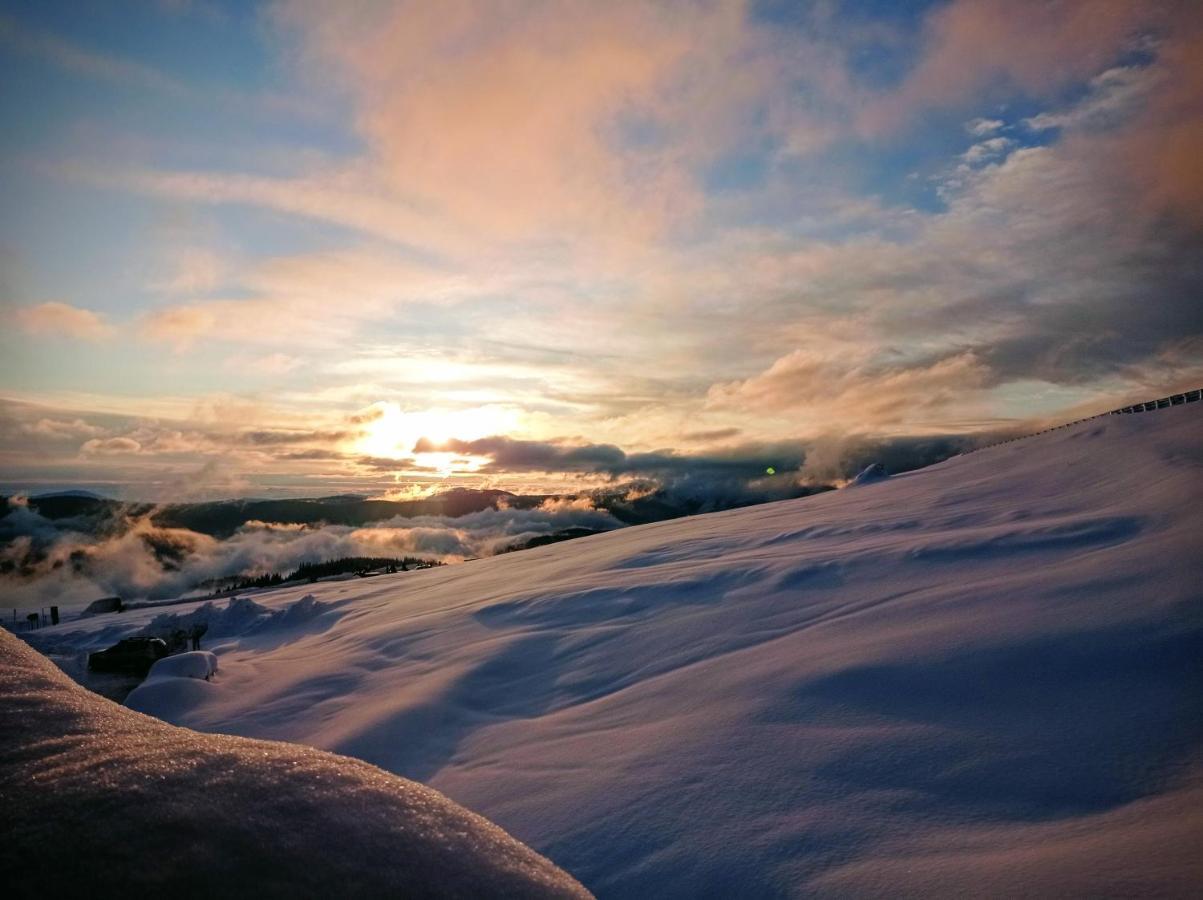 Cabana Transalpina Hotel Rânca Eksteriør billede