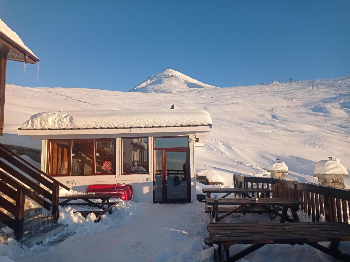 Cabana Transalpina Hotel Rânca Eksteriør billede