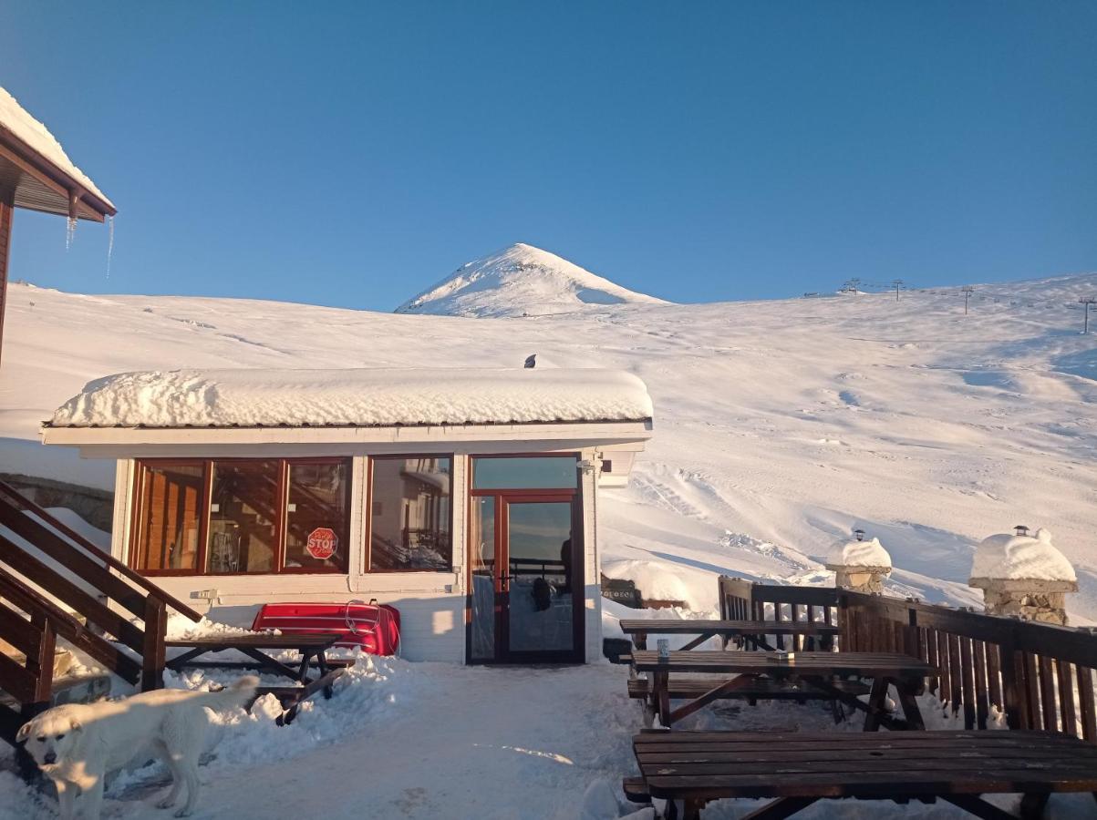 Cabana Transalpina Hotel Rânca Eksteriør billede