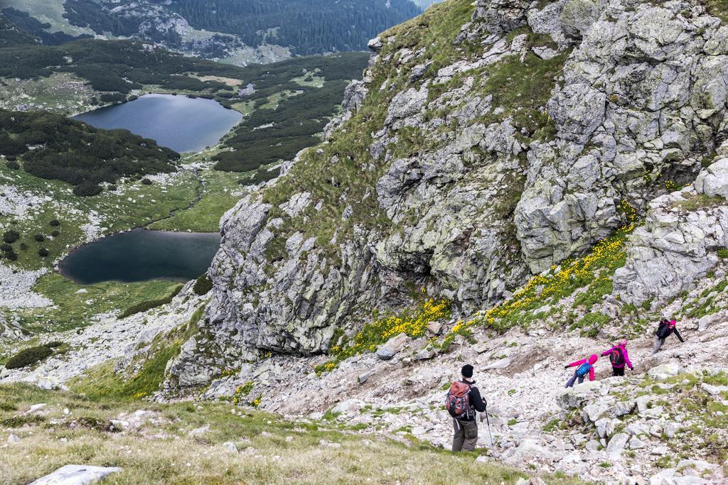 Cabana Transalpina Hotel Rânca Eksteriør billede