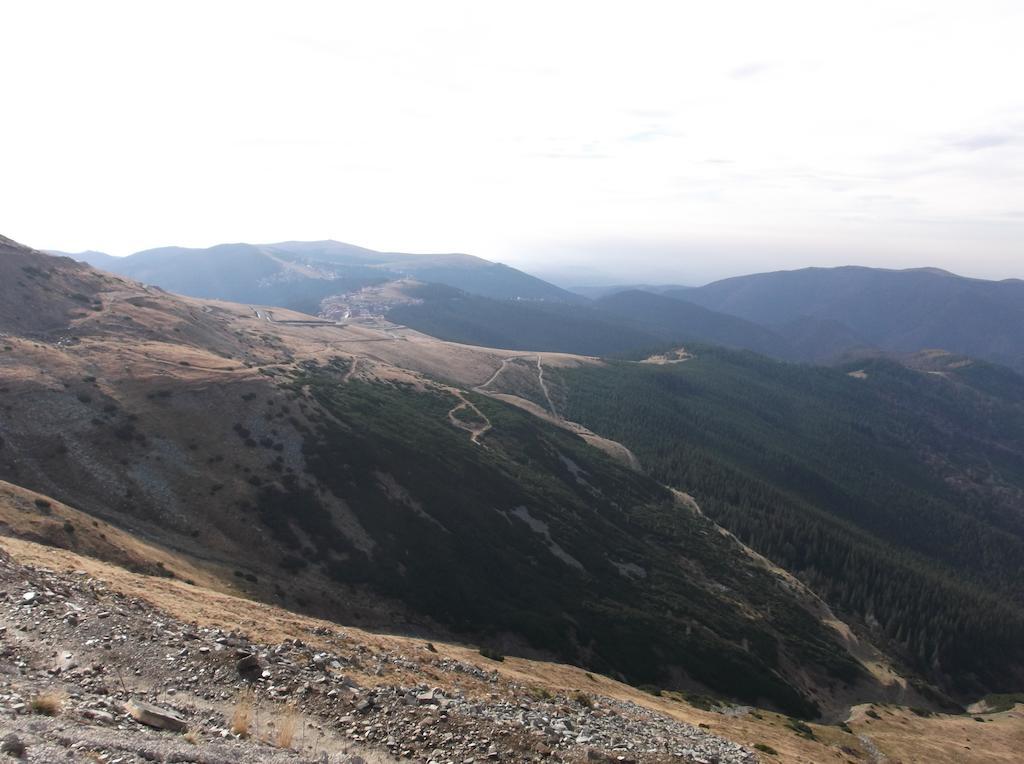 Cabana Transalpina Hotel Rânca Eksteriør billede