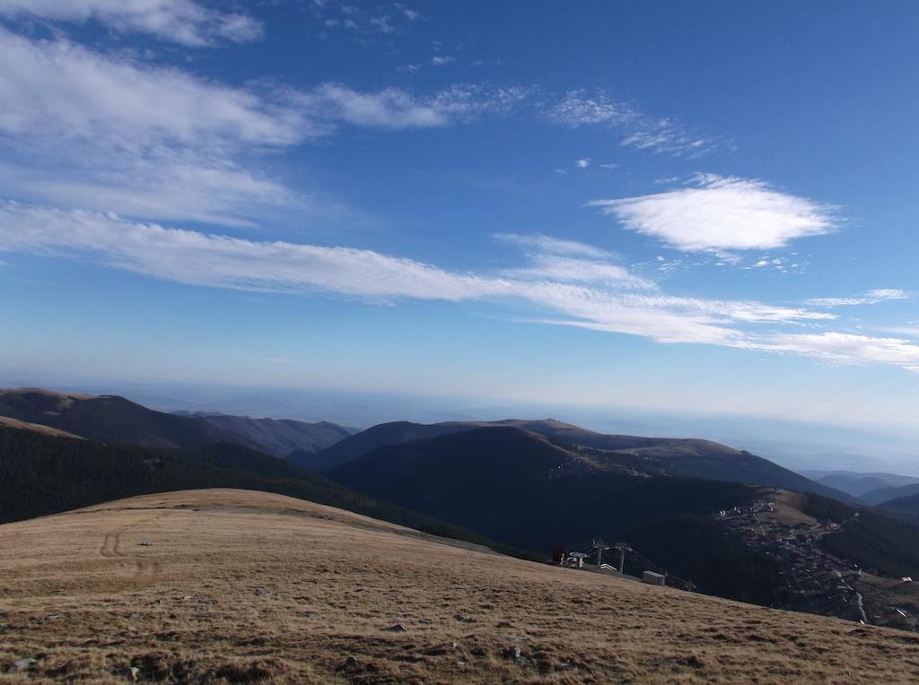 Cabana Transalpina Hotel Rânca Eksteriør billede